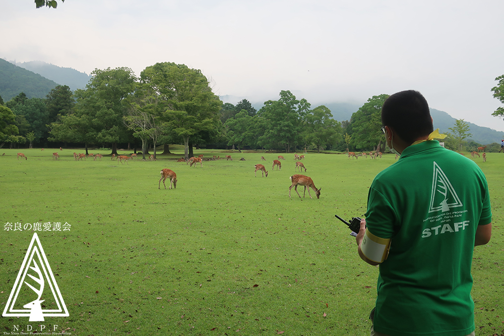 2022年　奈良公園の鹿生息頭数調査