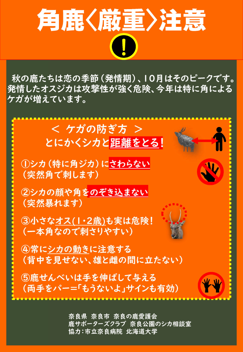 【角鹿＜厳重＞注意！】角鹿（オス鹿）には、より一層の注意をしてください。