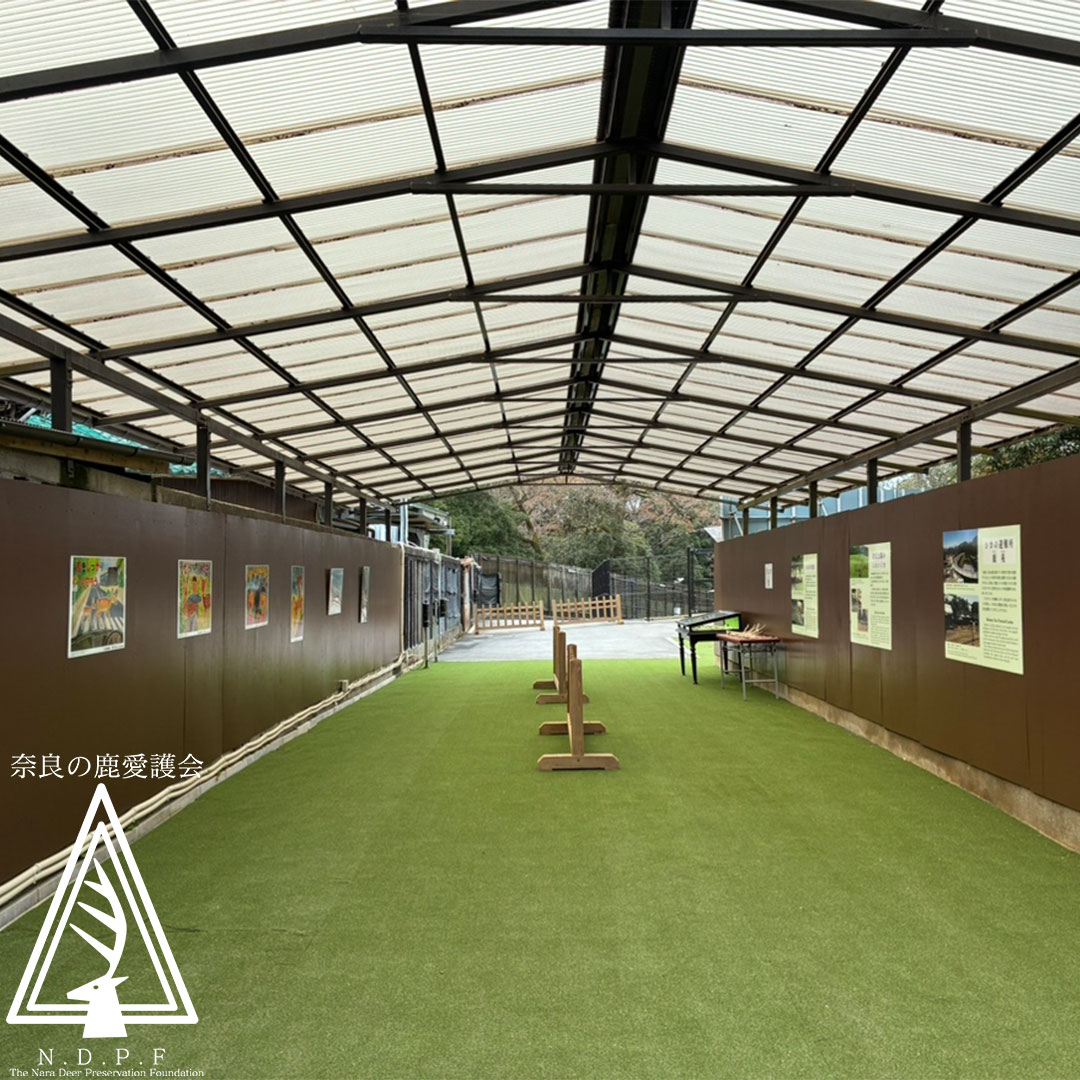 鹿苑リニューアルオープンのお知らせ