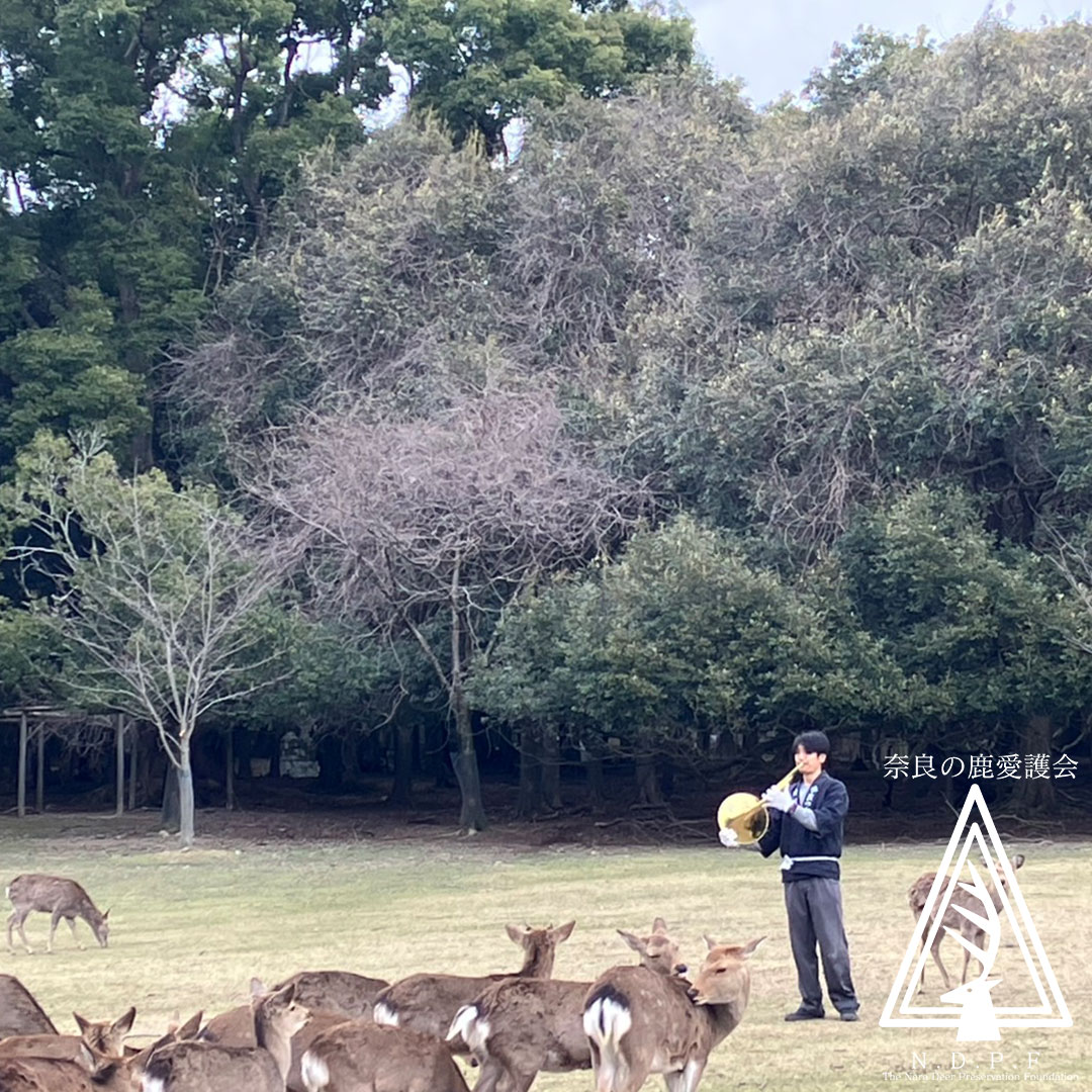 ふゆの鹿寄せ 2月28日