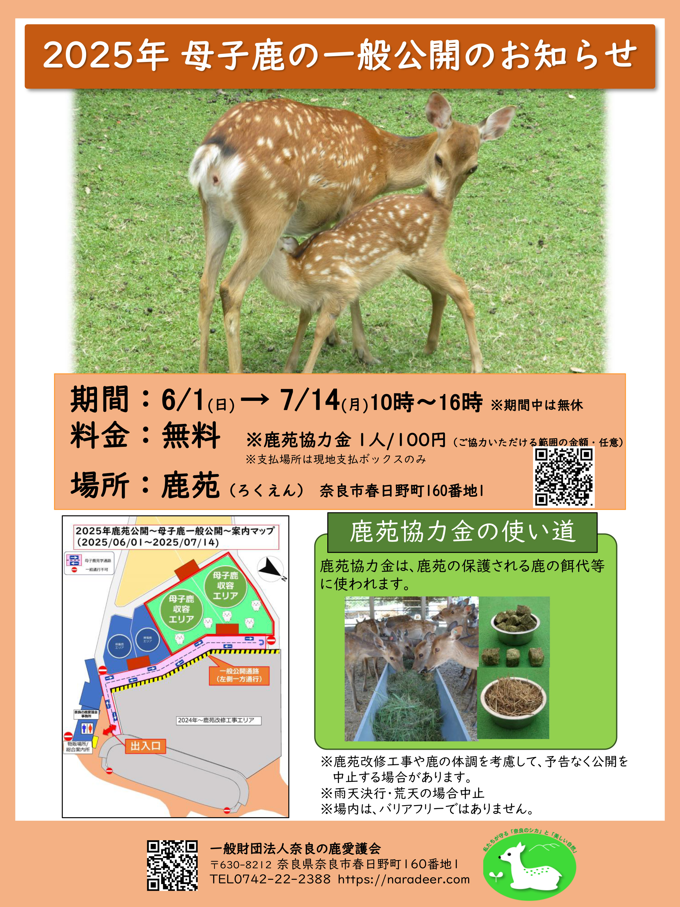2025年母子鹿の一般公開のお知らせ